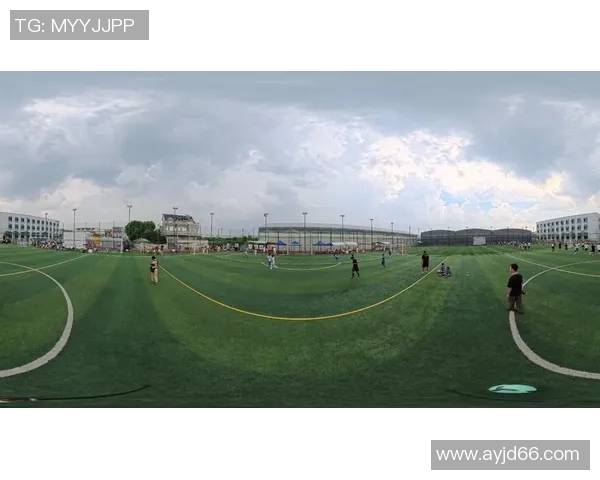 足球明星全景揭秘精彩瞬间与详细资料尽在其中