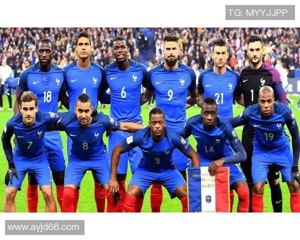 2018年法国足球明星的辉煌历程与世界杯夺冠背后的故事