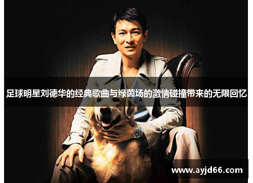 足球明星刘德华的经典歌曲与绿茵场的激情碰撞带来的无限回忆