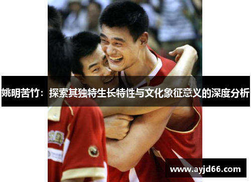姚明苦竹：探索其独特生长特性与文化象征意义的深度分析