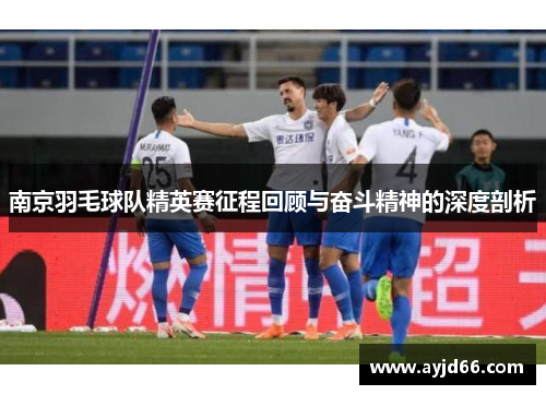 南京羽毛球队精英赛征程回顾与奋斗精神的深度剖析