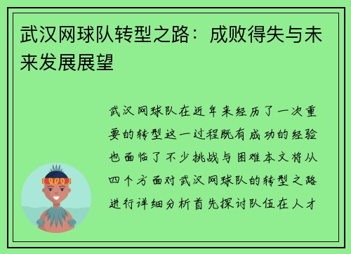 武汉网球队转型之路：成败得失与未来发展展望