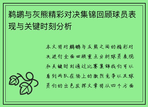 鹈鹕与灰熊精彩对决集锦回顾球员表现与关键时刻分析